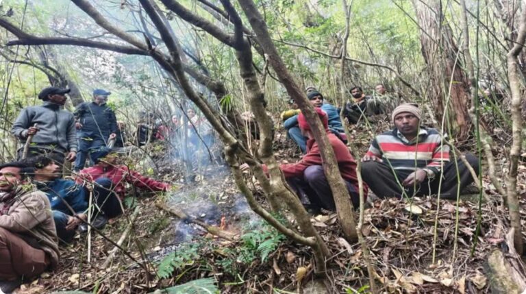 नैनीताल जनपद में तेंदुए का आतंक, ओखलकांडा विकासखंड के टली दीनी गांव में घर के बाहर महिला को बनाया शिकार, जंगल में मिला शव—इलाके में दहशत।